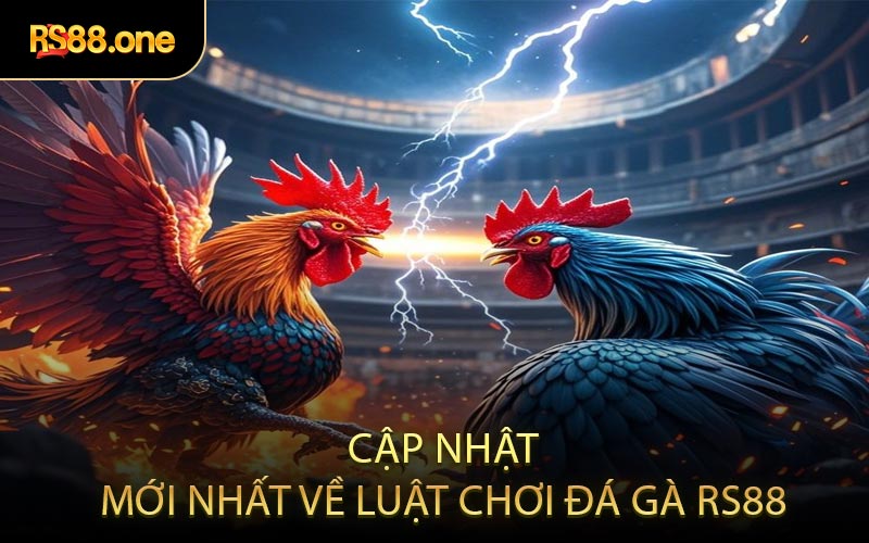 Cập nhật mới nhất về luật chơi đá gà RS88