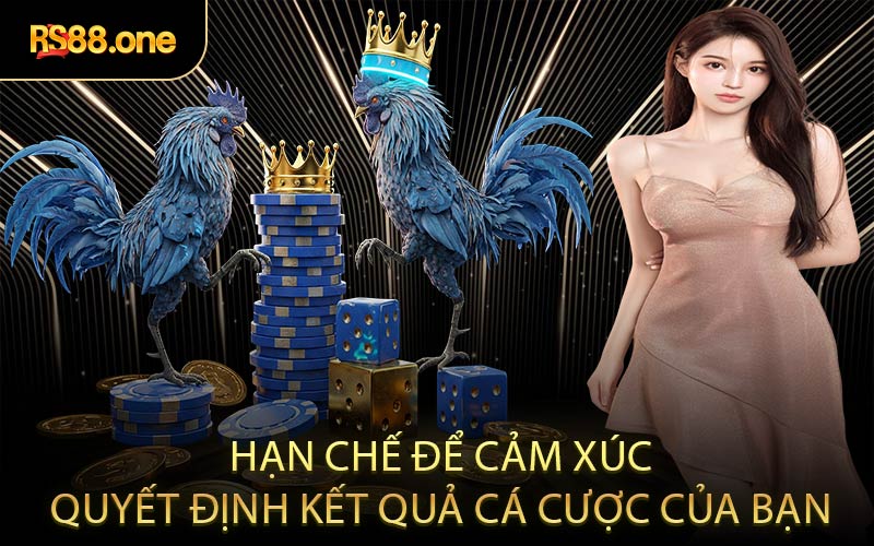 Hạn chế để cảm xúc quyết định kết quả cá cược của bạn