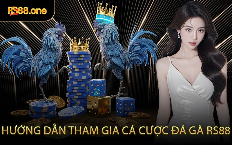Hướng dẫn tham gia cá cược đá gà RS88