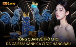 Tổng quan về trò chơi đá gà RS88 sảnh cá cược hàng đầu