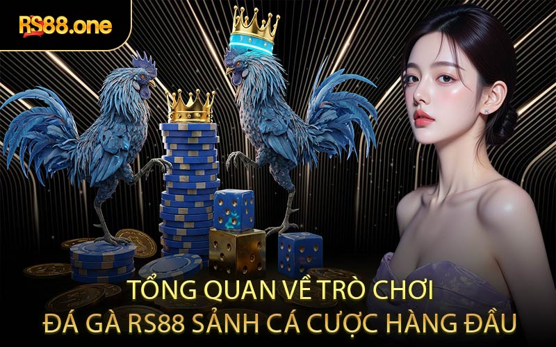 Tổng quan về trò chơi đá gà RS88 sảnh cá cược hàng đầu