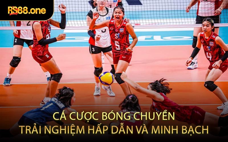 Cá Cược Bóng Chuyền Trải Nghiệm Hấp Dẫn Và Minh Bạch