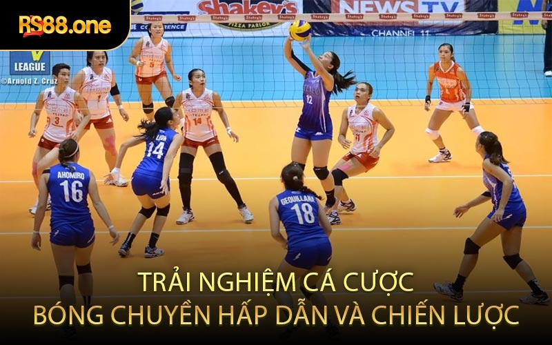 Trải Nghiệm Cá Cược Bóng Chuyền Hấp Dẫn Và Chiến Lược
